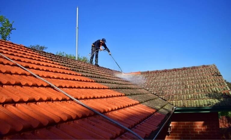Roof Moss Treatment in NZ | Our Experts Moss Removal Services
